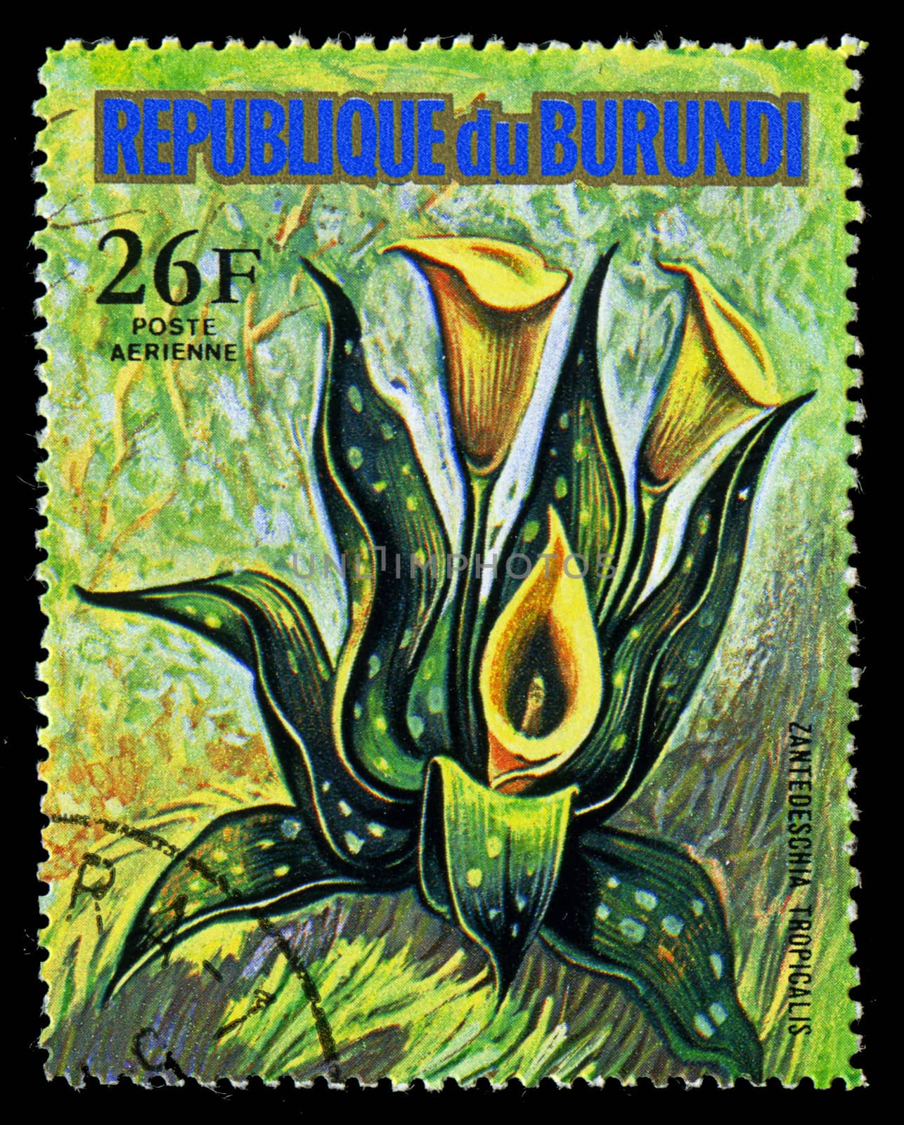 REPUBLIC OF BURUNDI - CIRCA 1974: A stamp printed in Republic of by Zhukow