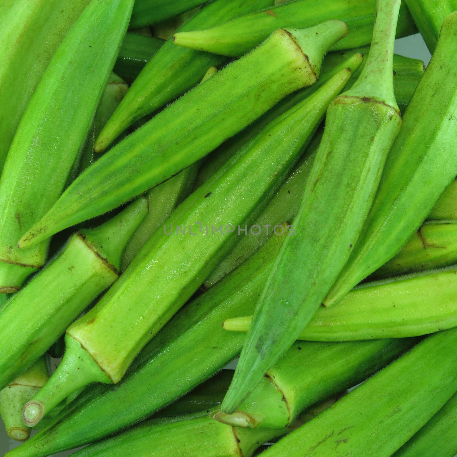 Fresh okra for with background