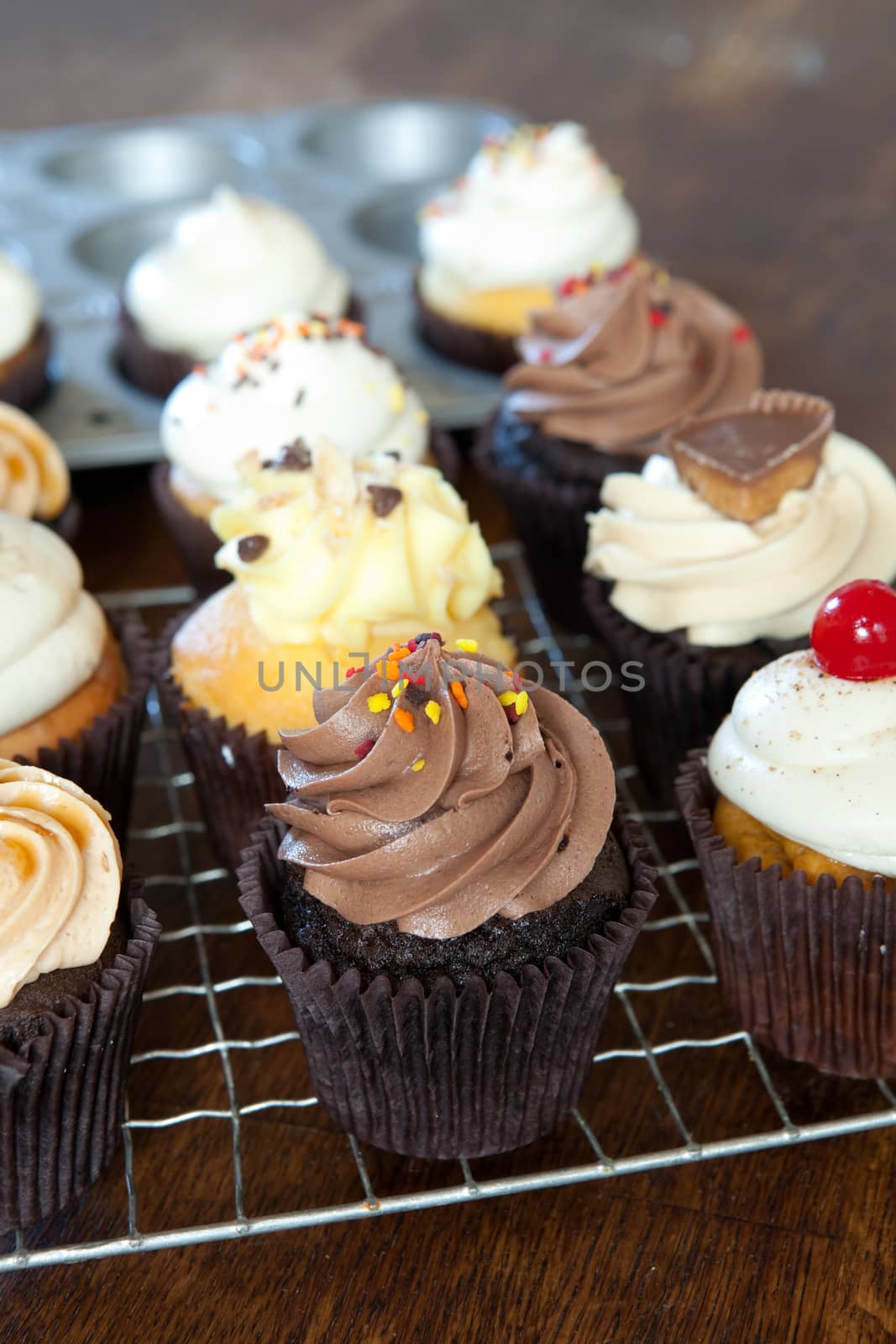 Close up of some decadent gourmet cupcakes frosted with a variety of frosting flavors. Shallow depth of field.