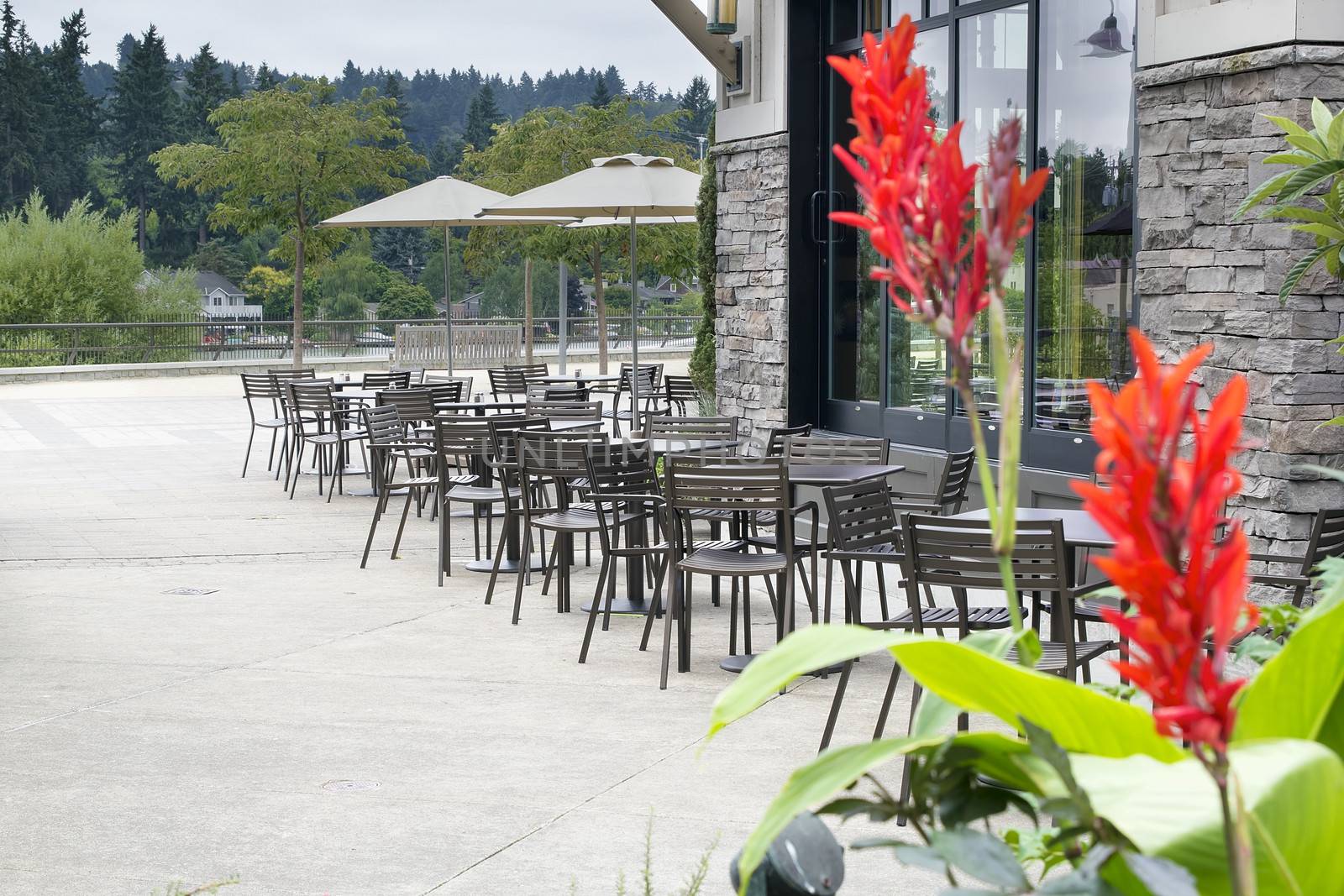 Restaurant Outdoor Patio Seating with Umbrellas by the Lake