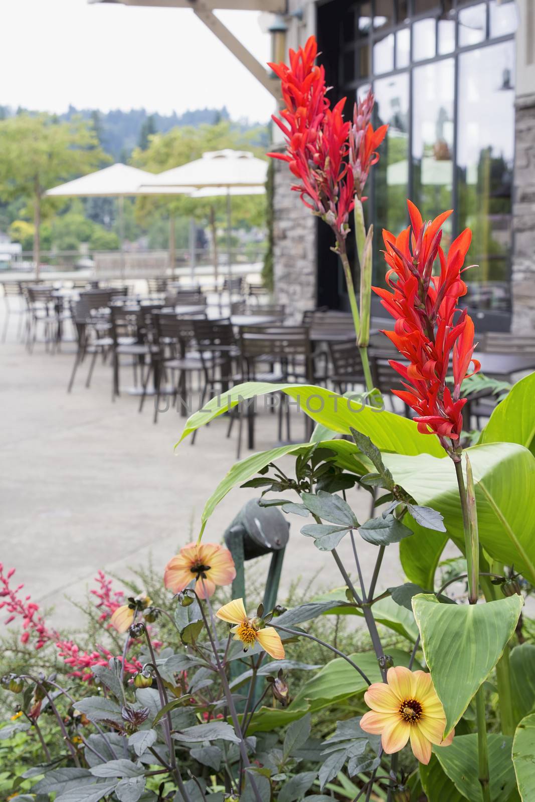 Planter Flowers by Restaurant Outdoor Patio Seating with Umbrellas