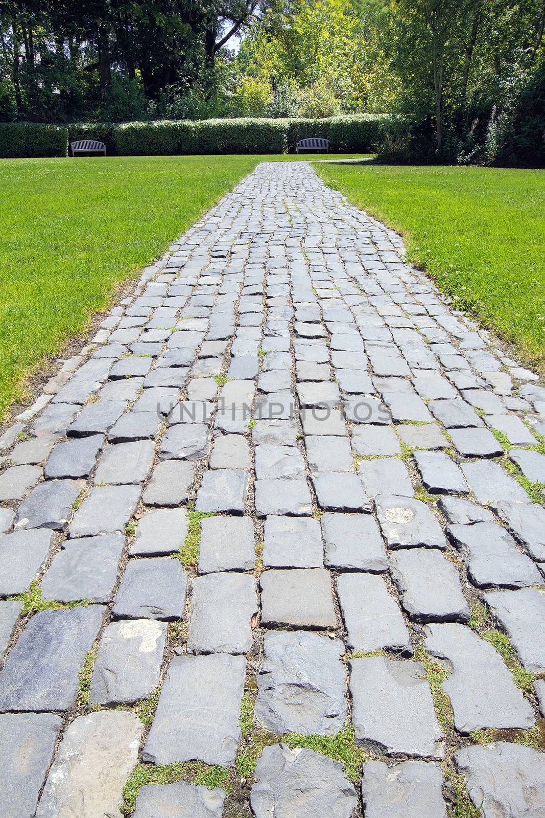 Garden Cobblestone Path on Green Lawn with Wood Benches