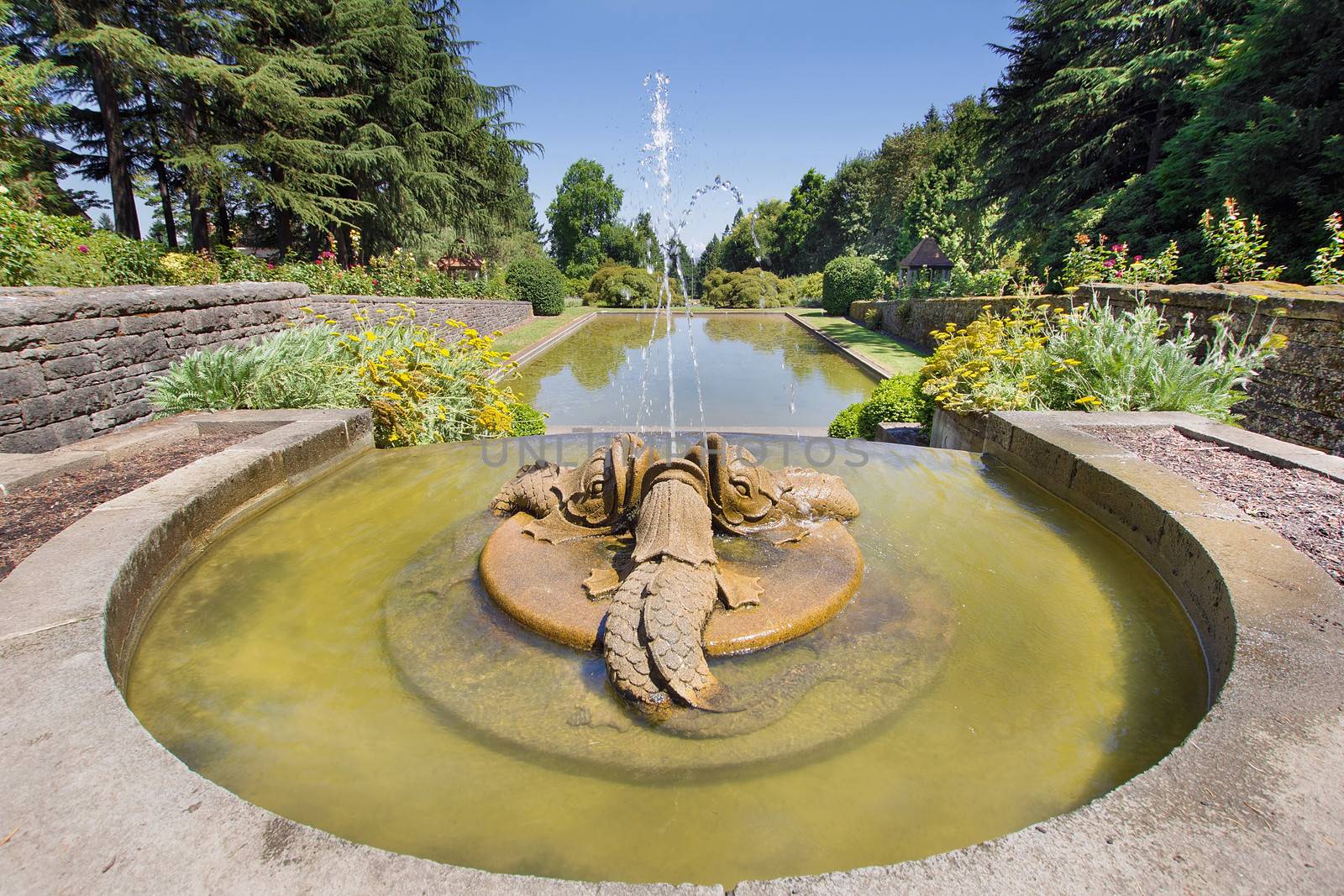 Renaissance Dolphin Stone Sculptures Water Fountain in Public Parks Pond