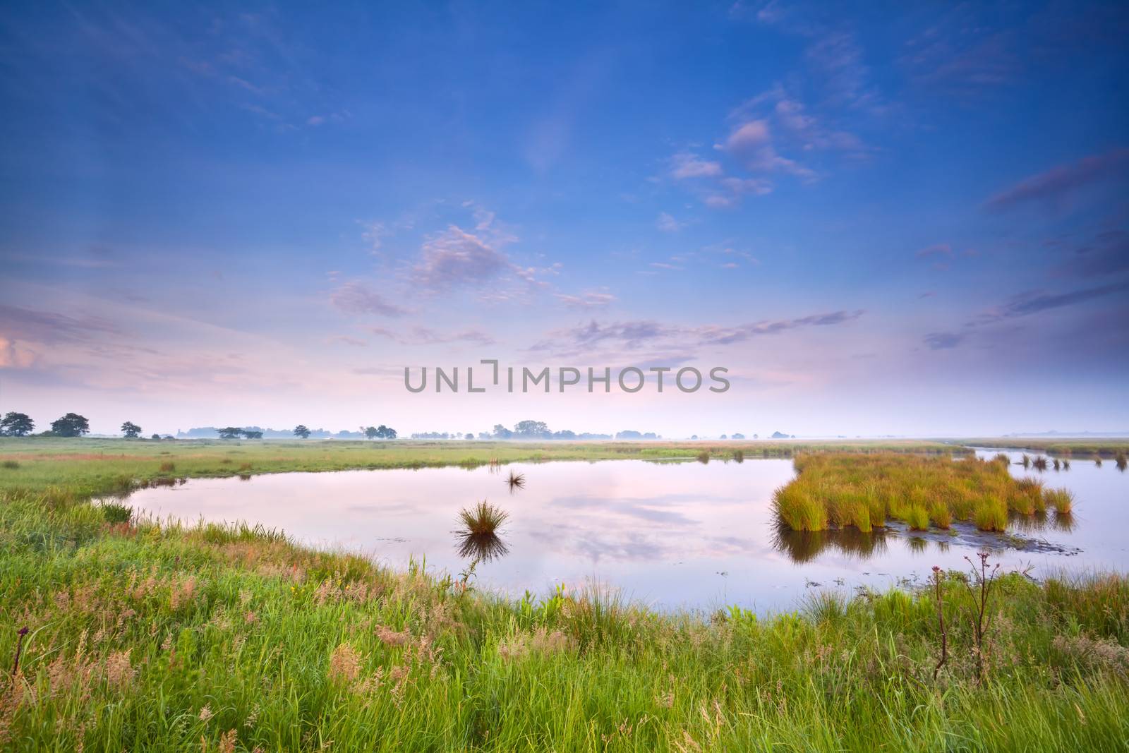 wild lake at pink summer sunrise