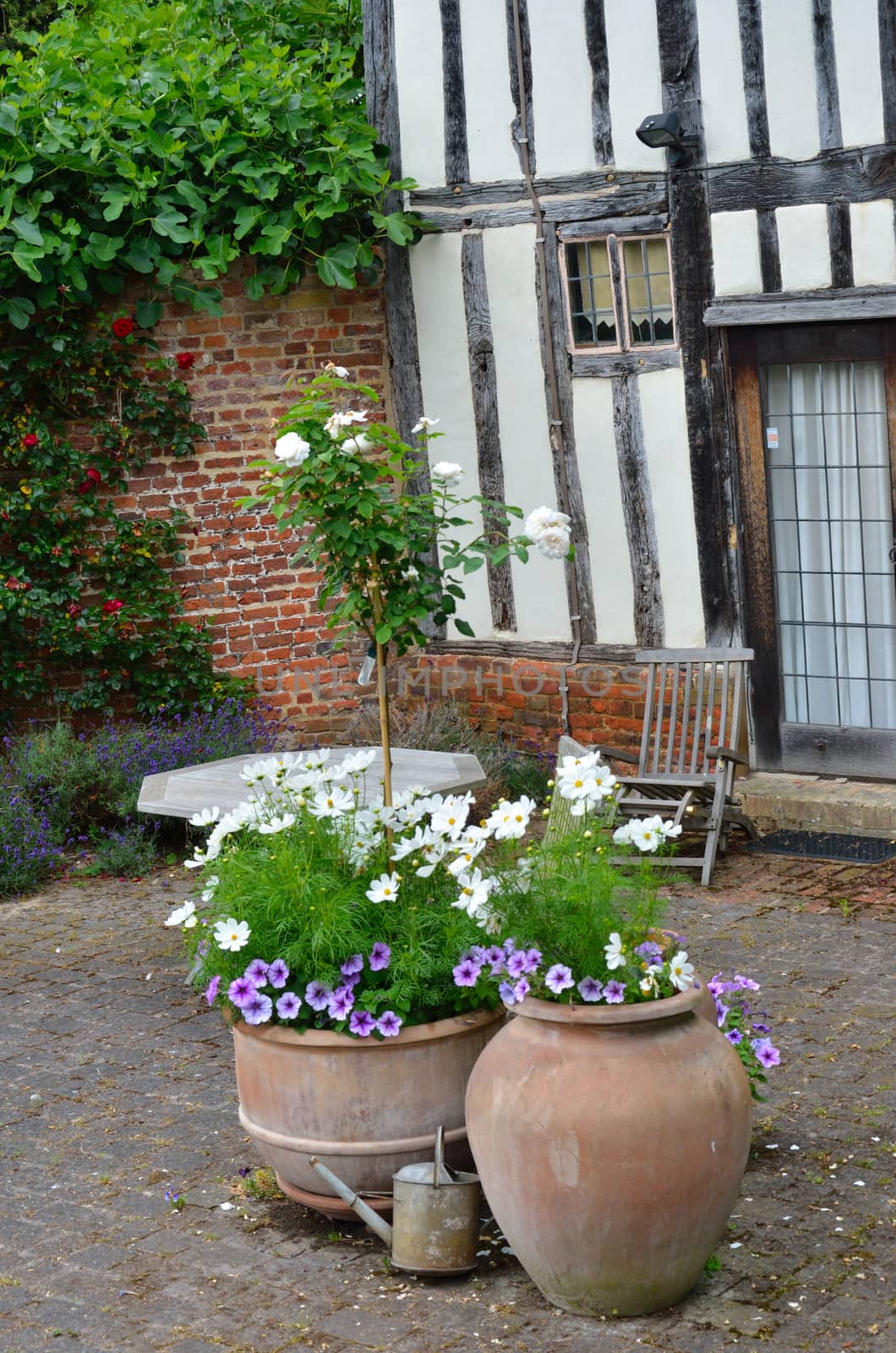 Plant Pots