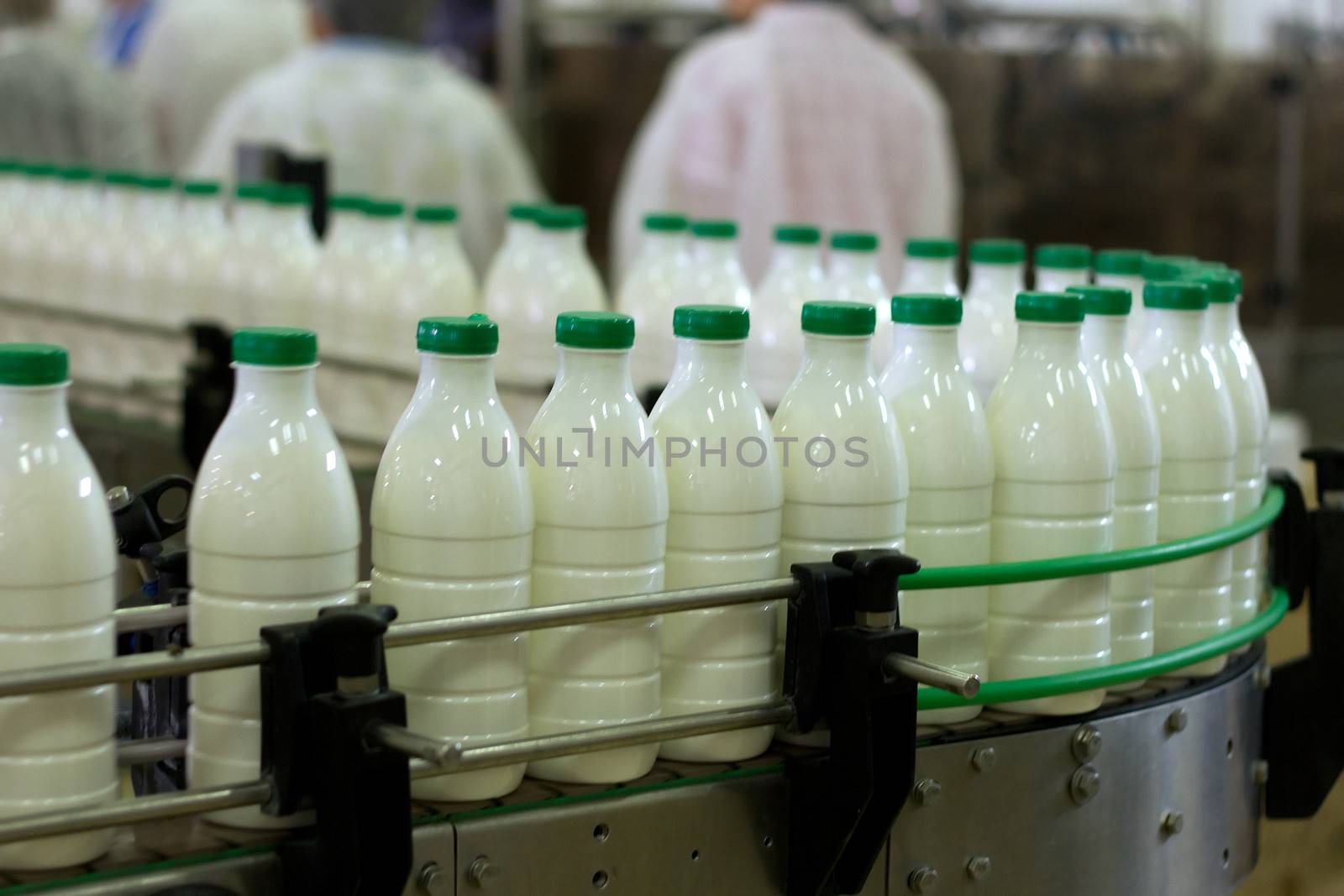 Dairy Plant. Conveyor with milk  bottles.