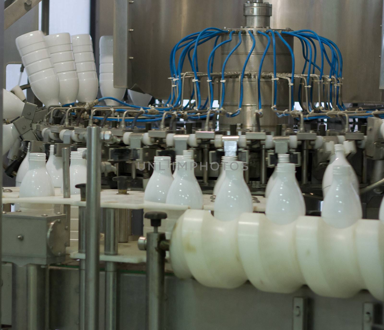 Dairy Plant. Conveyor with milk  bottles.