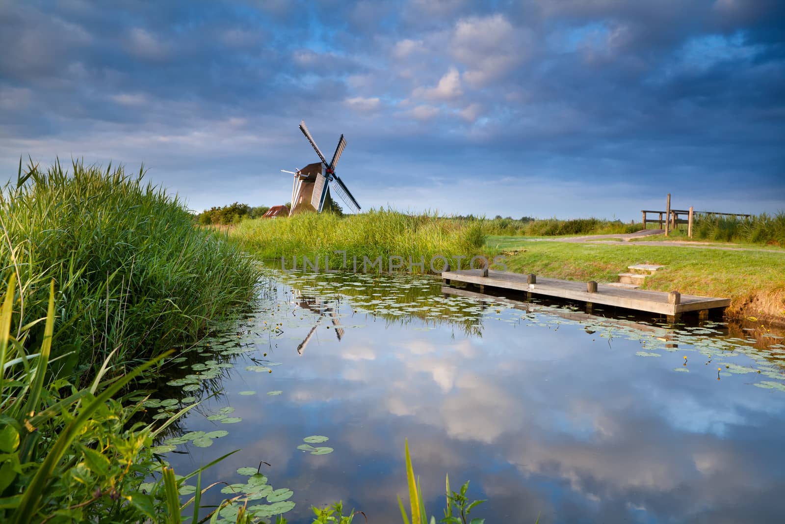 windmill and blue sky reflected in small lake with water lilies