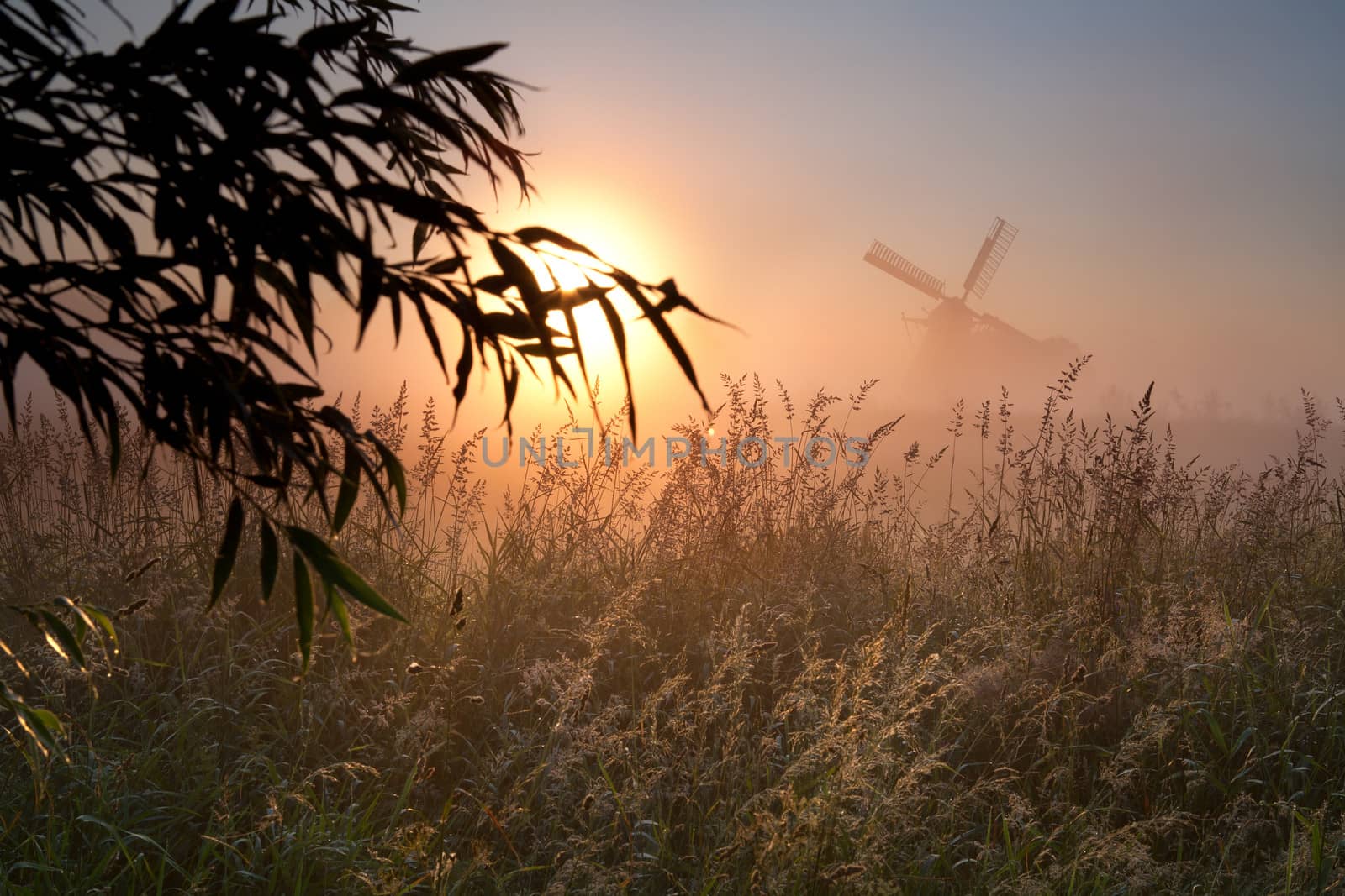  morning sunshine, winmdill silhouette and fog, Groningen, Netherlands