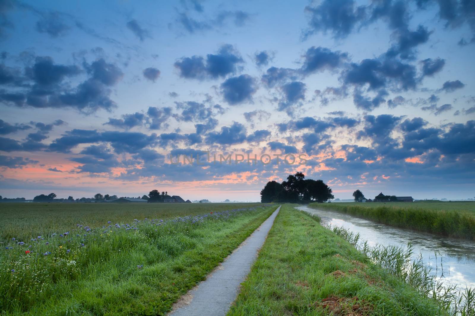 bicycle road and canal at sunrise, Dutch farmland