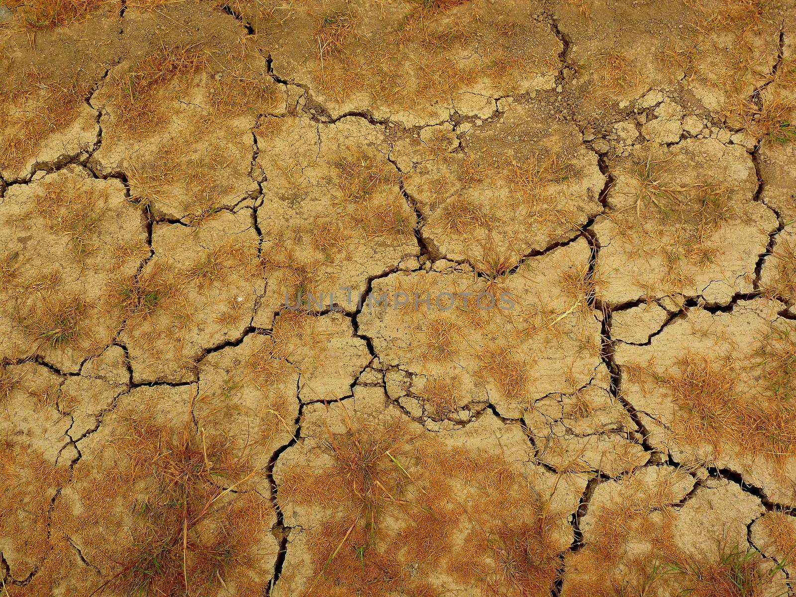 Dry and barren soil texture