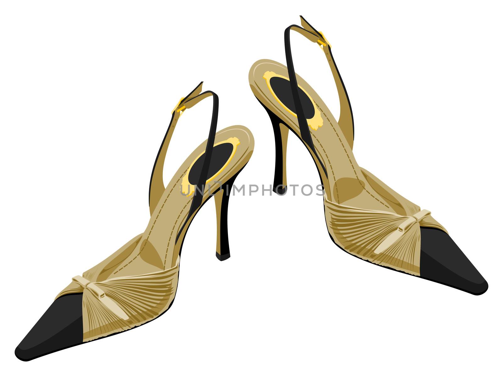 color vector illustration of women's shoes.