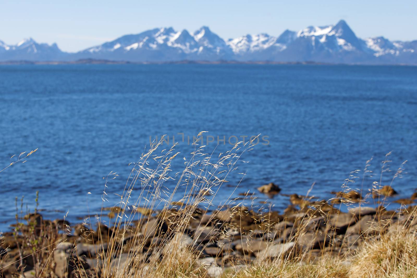 Snowcapped mountains and blue water, Norwegian fjord