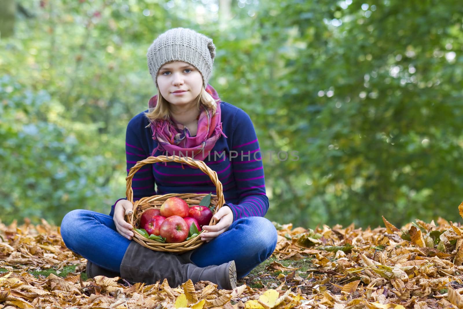 young girl with basket of apples in autumn garden by miradrozdowski