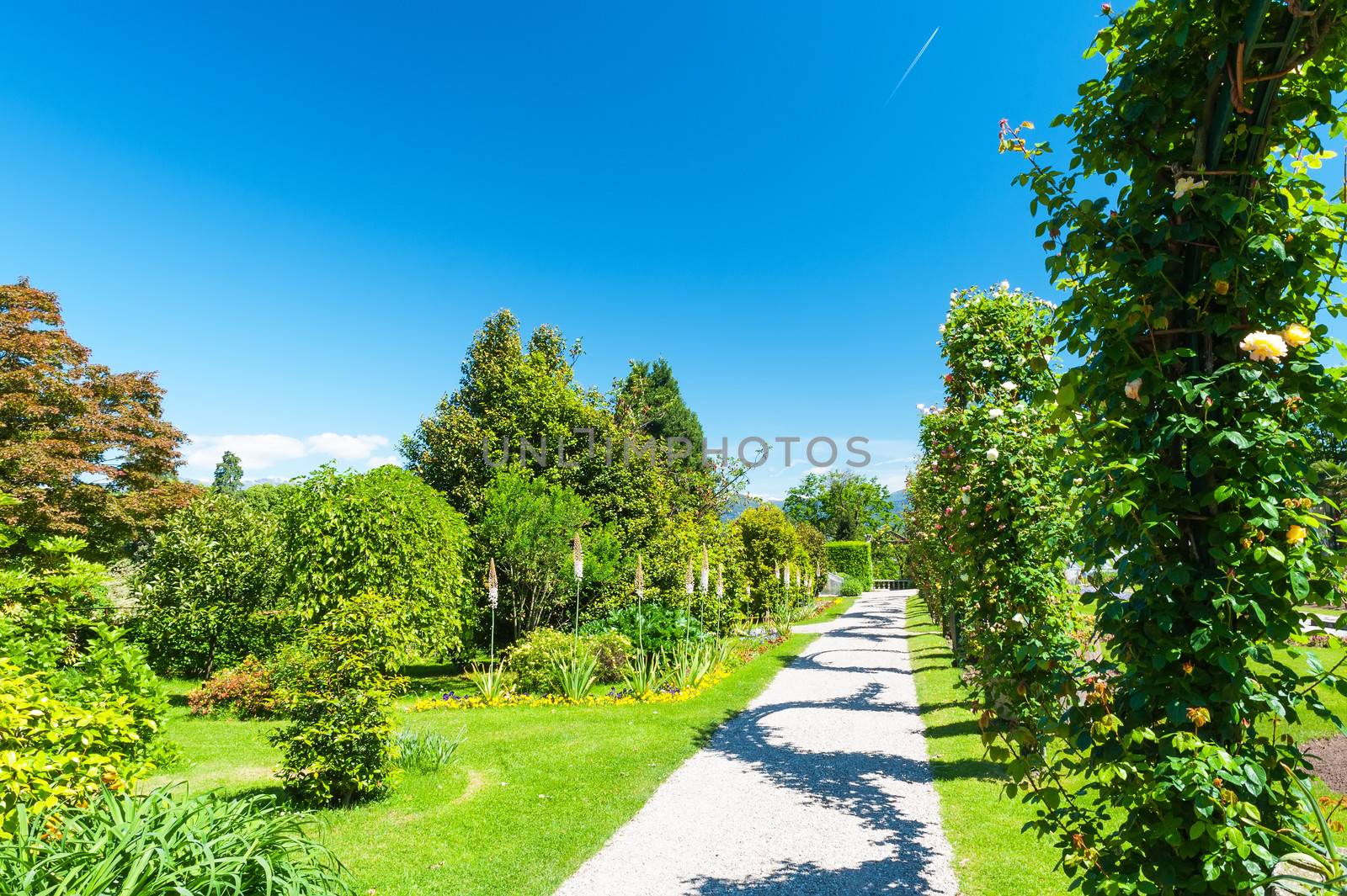 Piece of public gardens of Villa Taranto, Italy