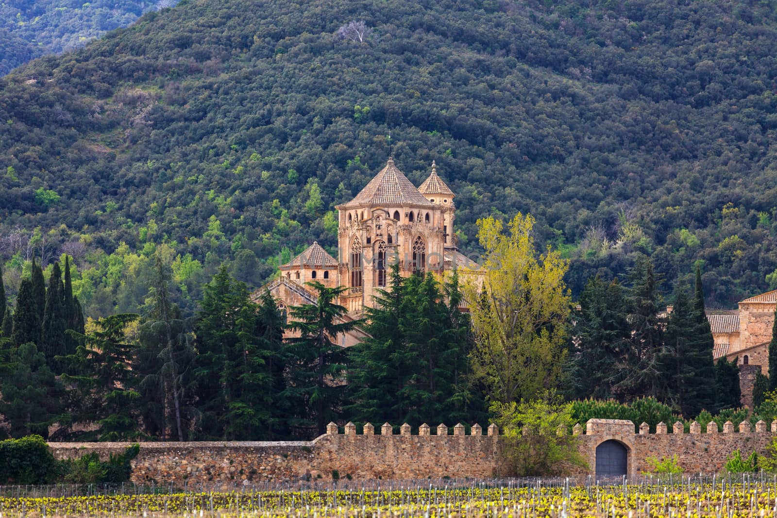 monastery Santa Maria de Poblet, Spain by Nobilior