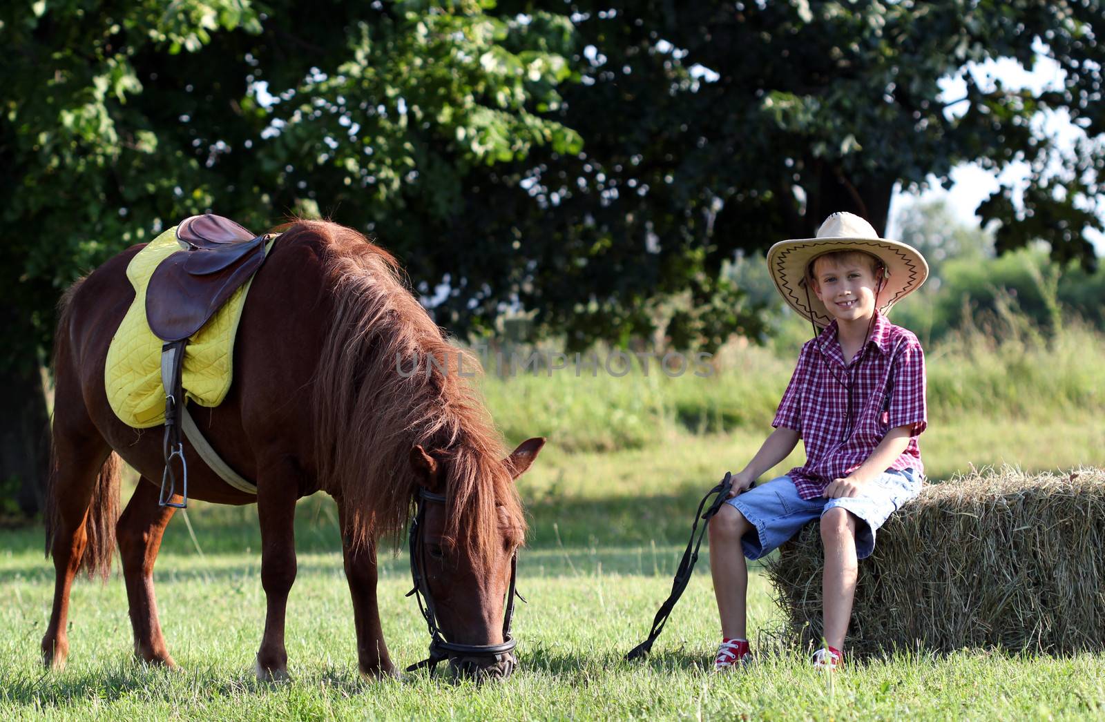boy with cowboy hat and pony horse on farm by goce