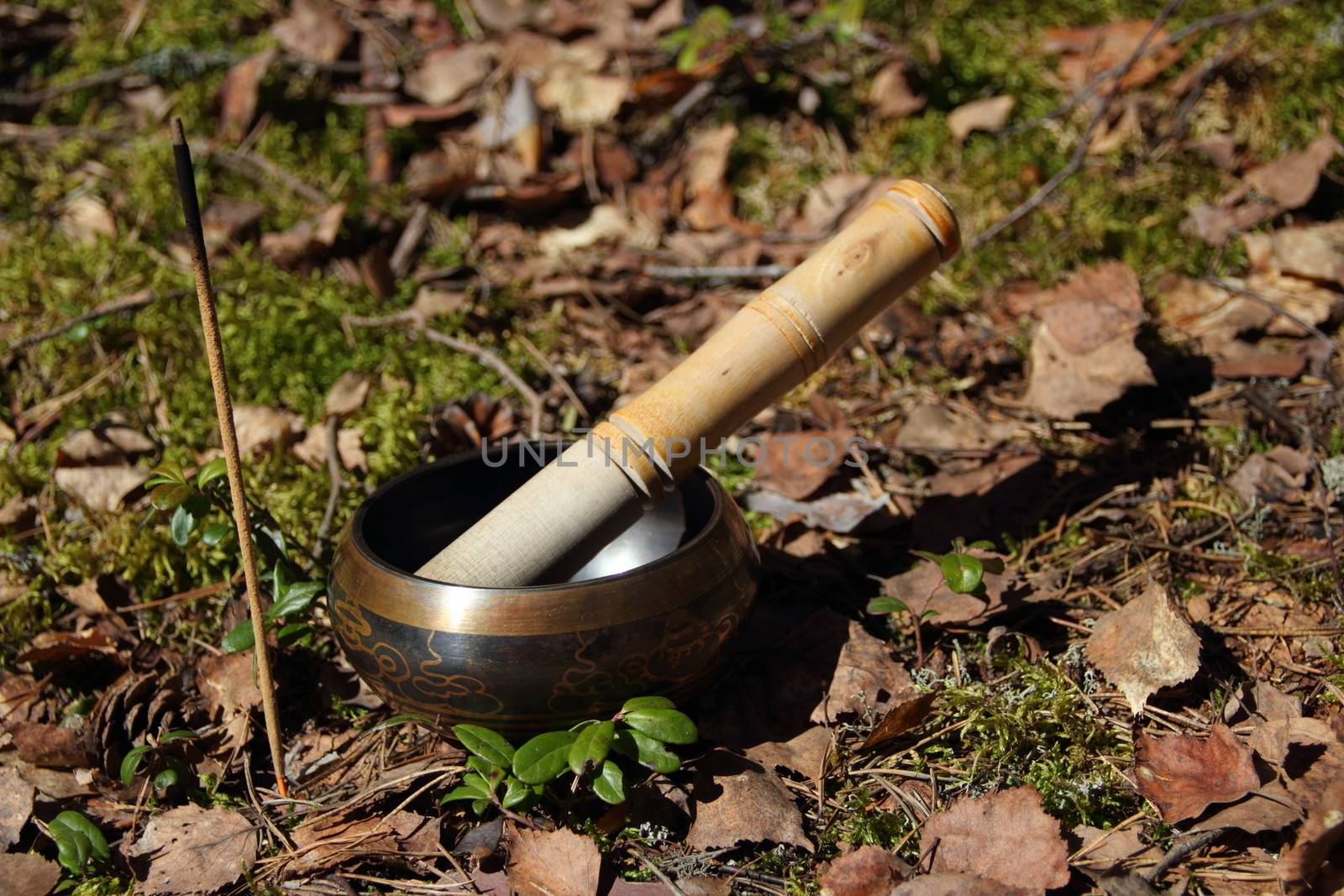 Tibetan singing bowl, incense in a forest glade