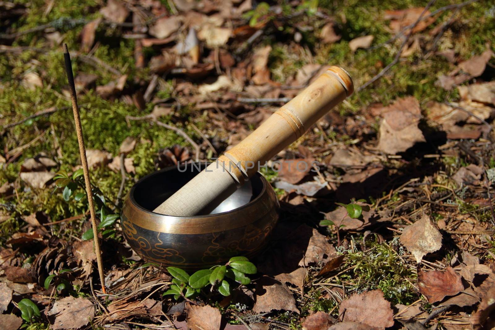 Tibetan singing bowl. incense by Metanna