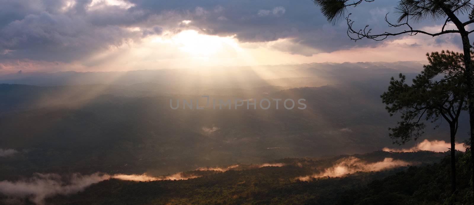 panorama nature dramatic landscape with tree on foreground and sunbeam on background