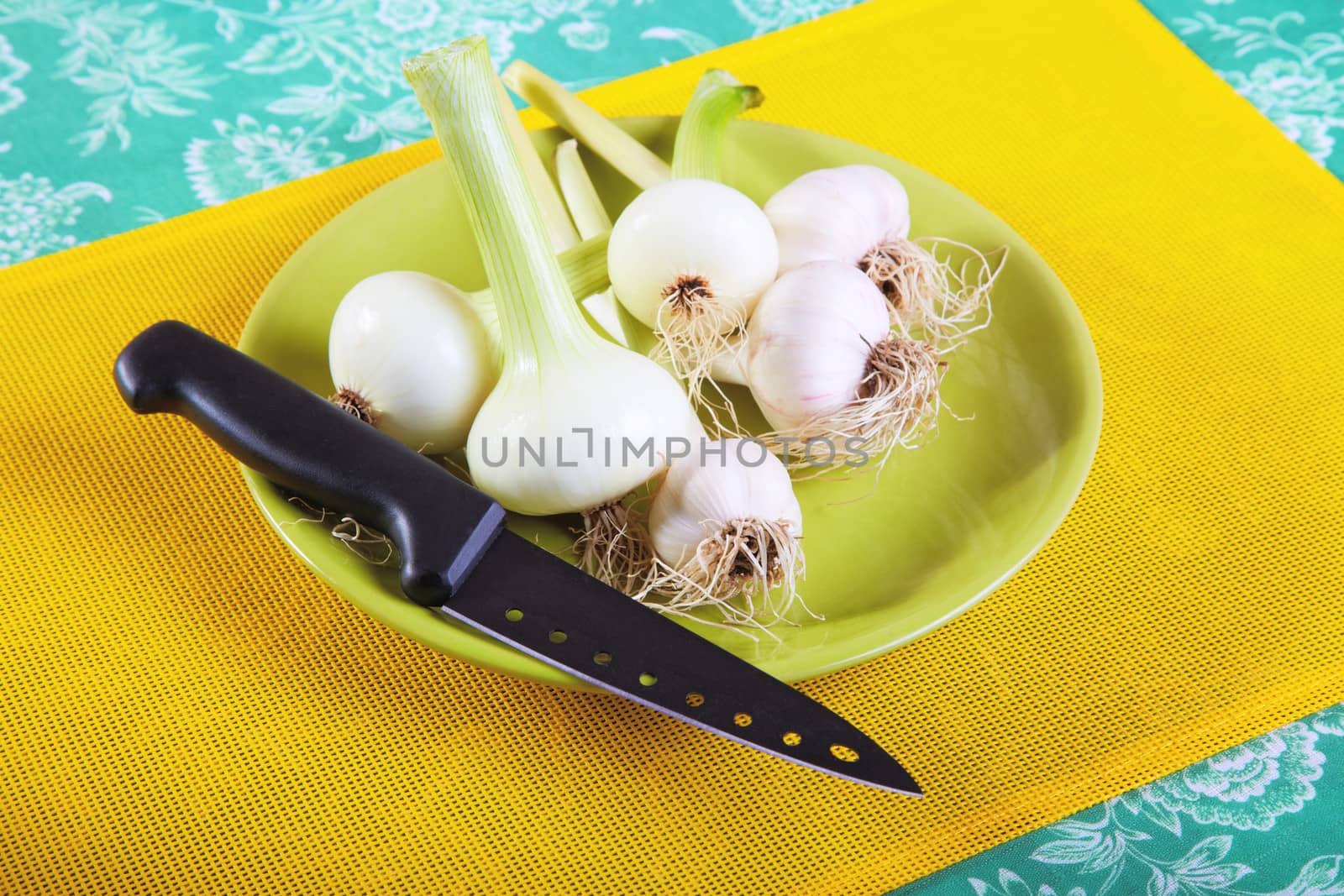 Still-life with garlic onions and kitchen knife on a plate