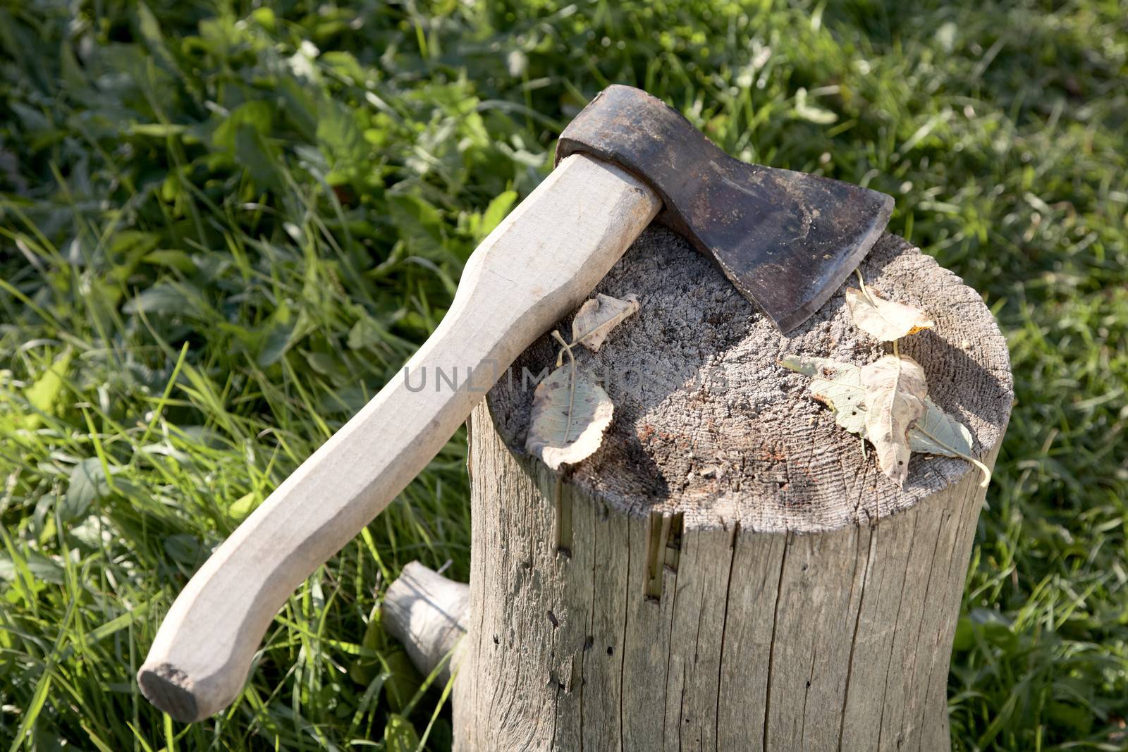 Axe with  pack for cabin against a green grass