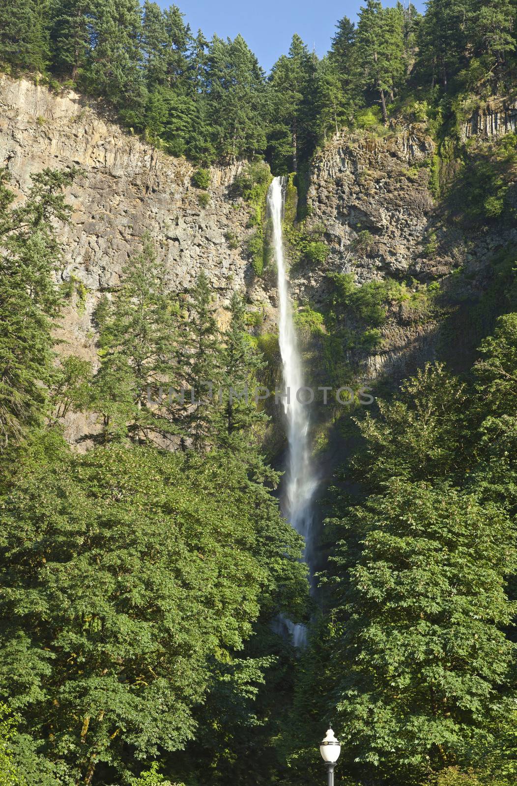 Multnomah Falls panorama Oregon. by Rigucci