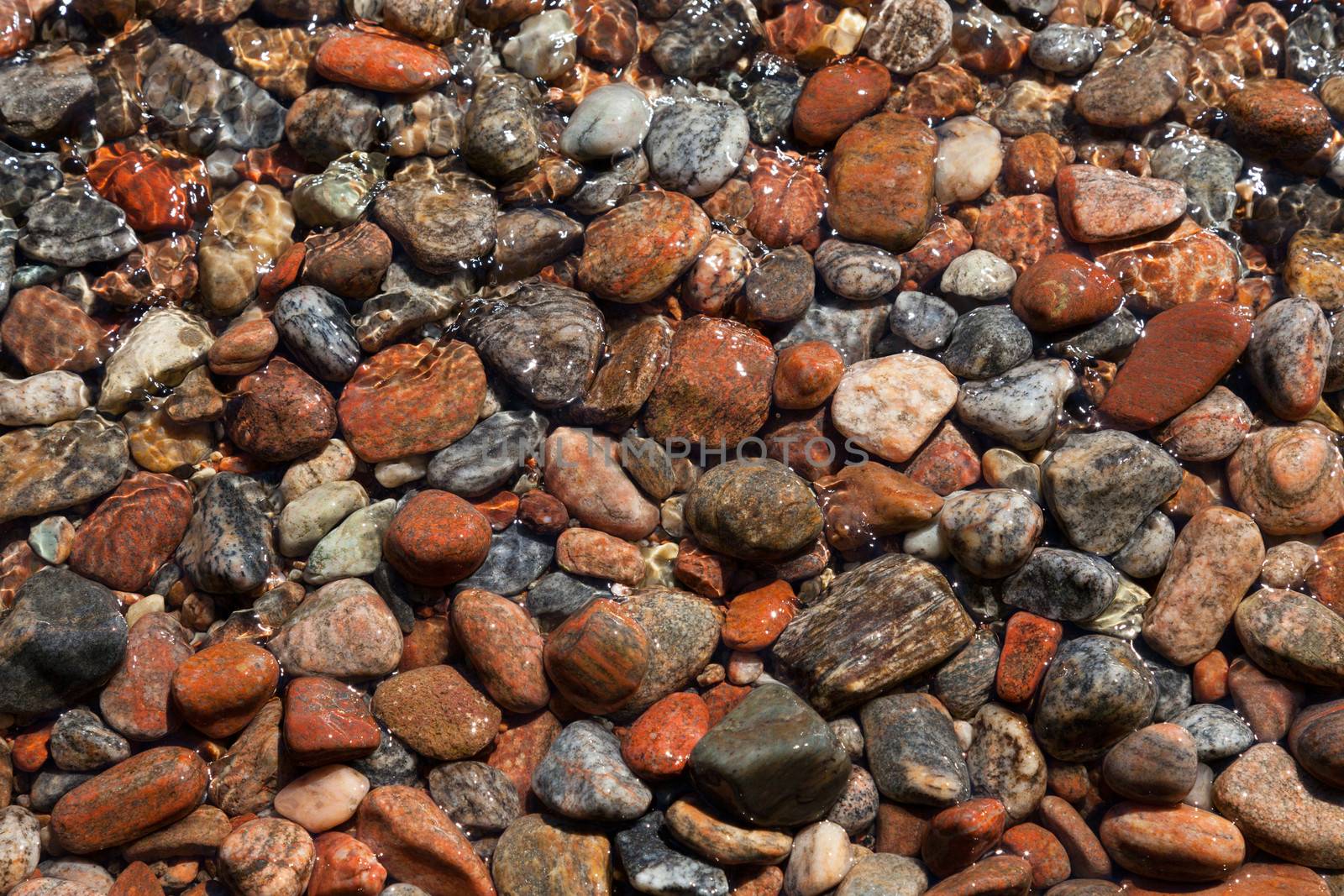Beautiful stones on the beach lake Kolvitsa. Murmansk region. Russia
