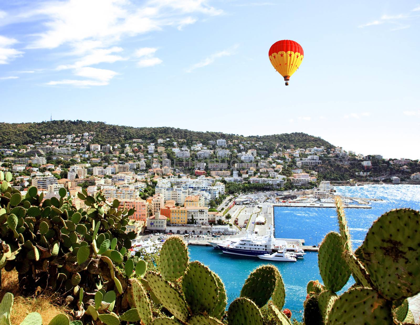 aerial view of the city of Nice and the harbor