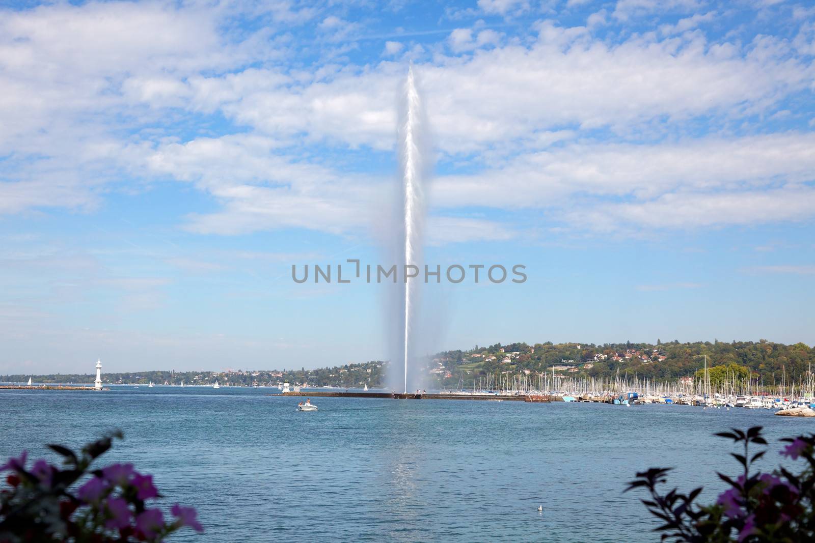 Geneva water jet on Lake Leman at summer by gary718