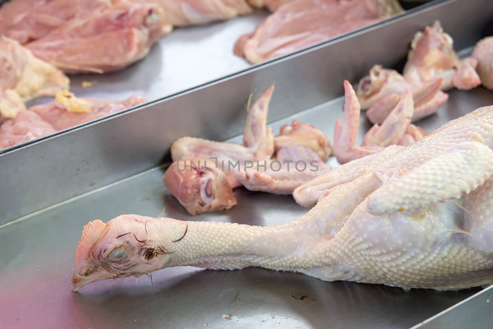 Slaughtered Fresh Whole Chicken with Head Wings Breast Meat at Wet Market in Southeast Asia