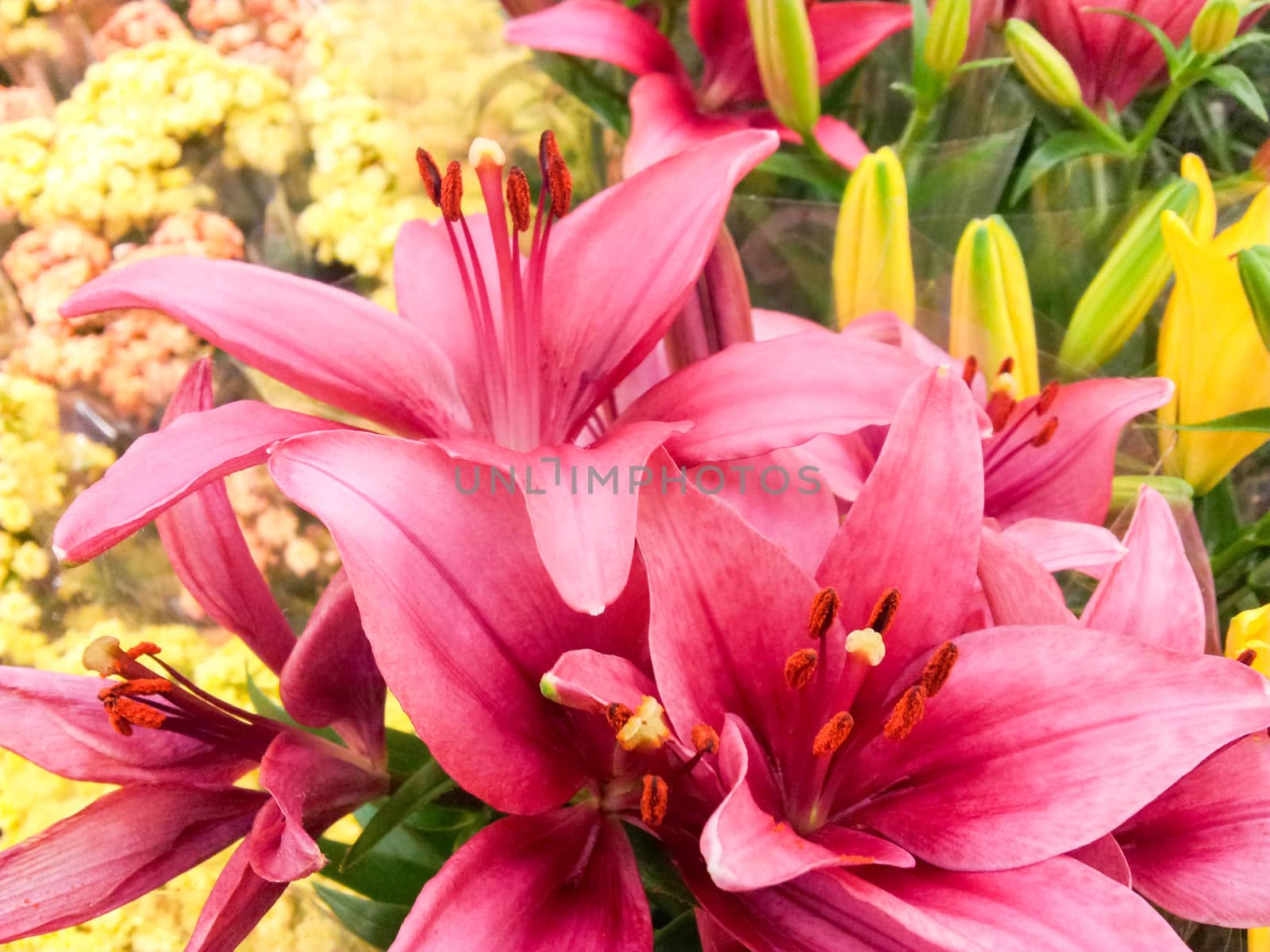 Bouquet of beautiful lilies, in front of yellow assorted flowers