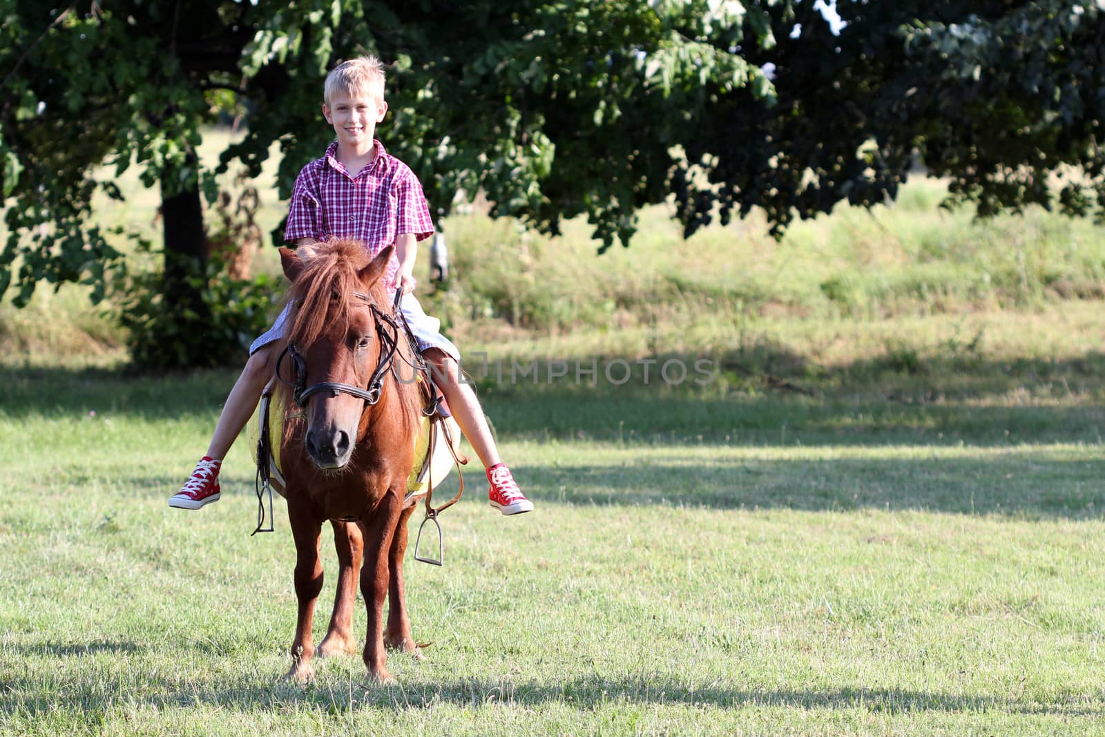 boy riding pony horse in park by goce