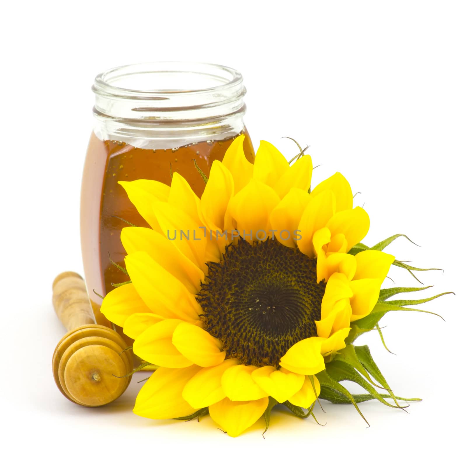 honey and sunflowers on white background