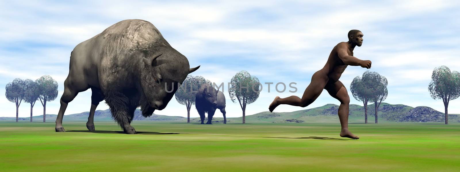 Aggressive bison charging Homo Erectus man running out to escape