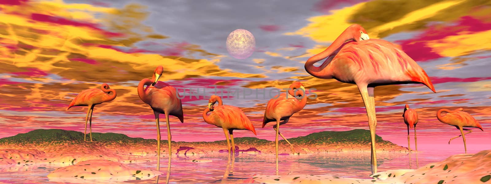 Flock of flamingos standing peacefully in the water by colorful sunset