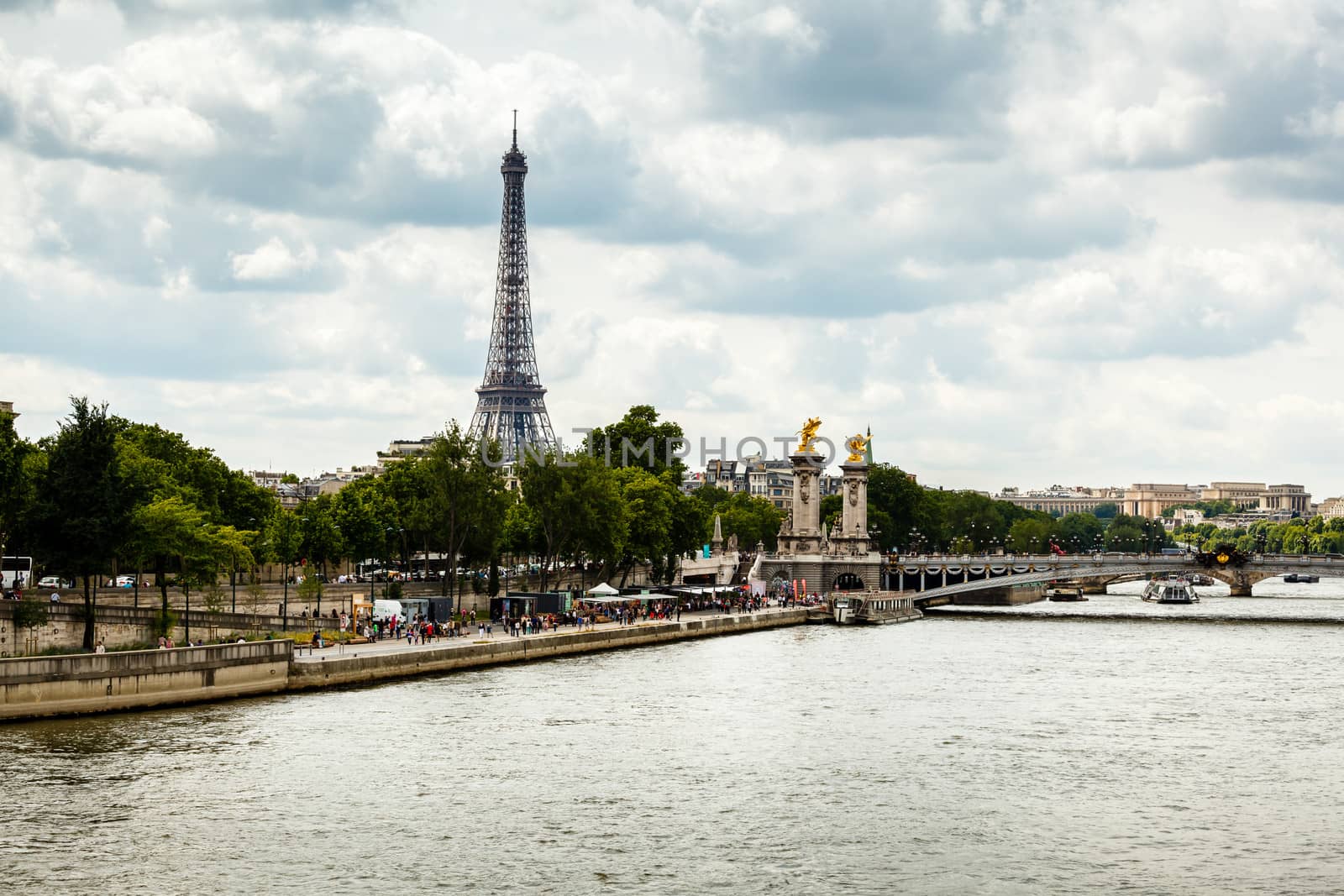 Eiffel Tower and Alexander the Third Bridge, Paris, France by anshar