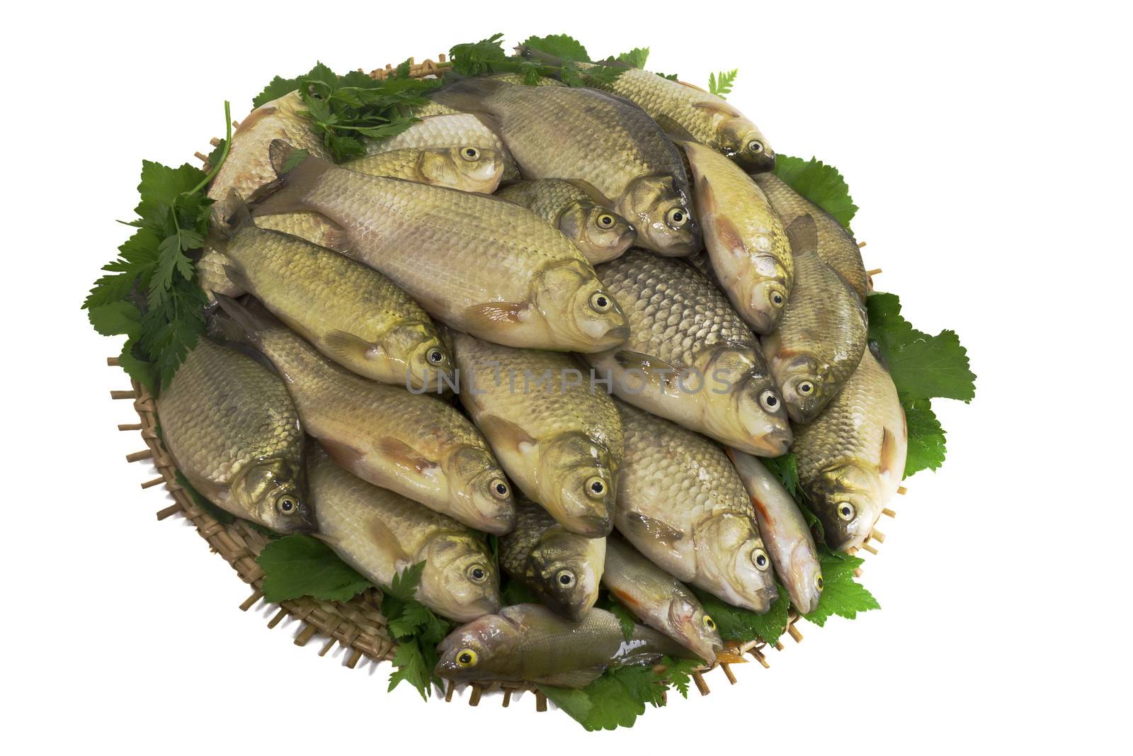 River fish (carp) and the greens on a round dish. by georgina198
