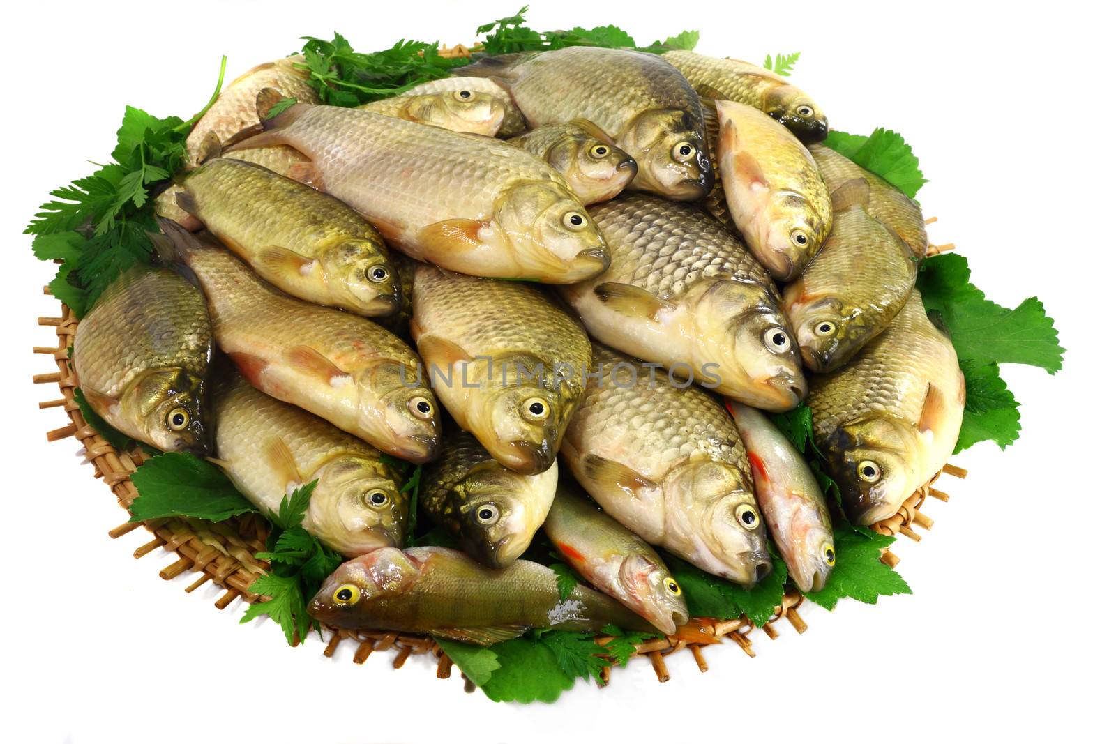 Carp and greens on a round dish. Presented on a white background.