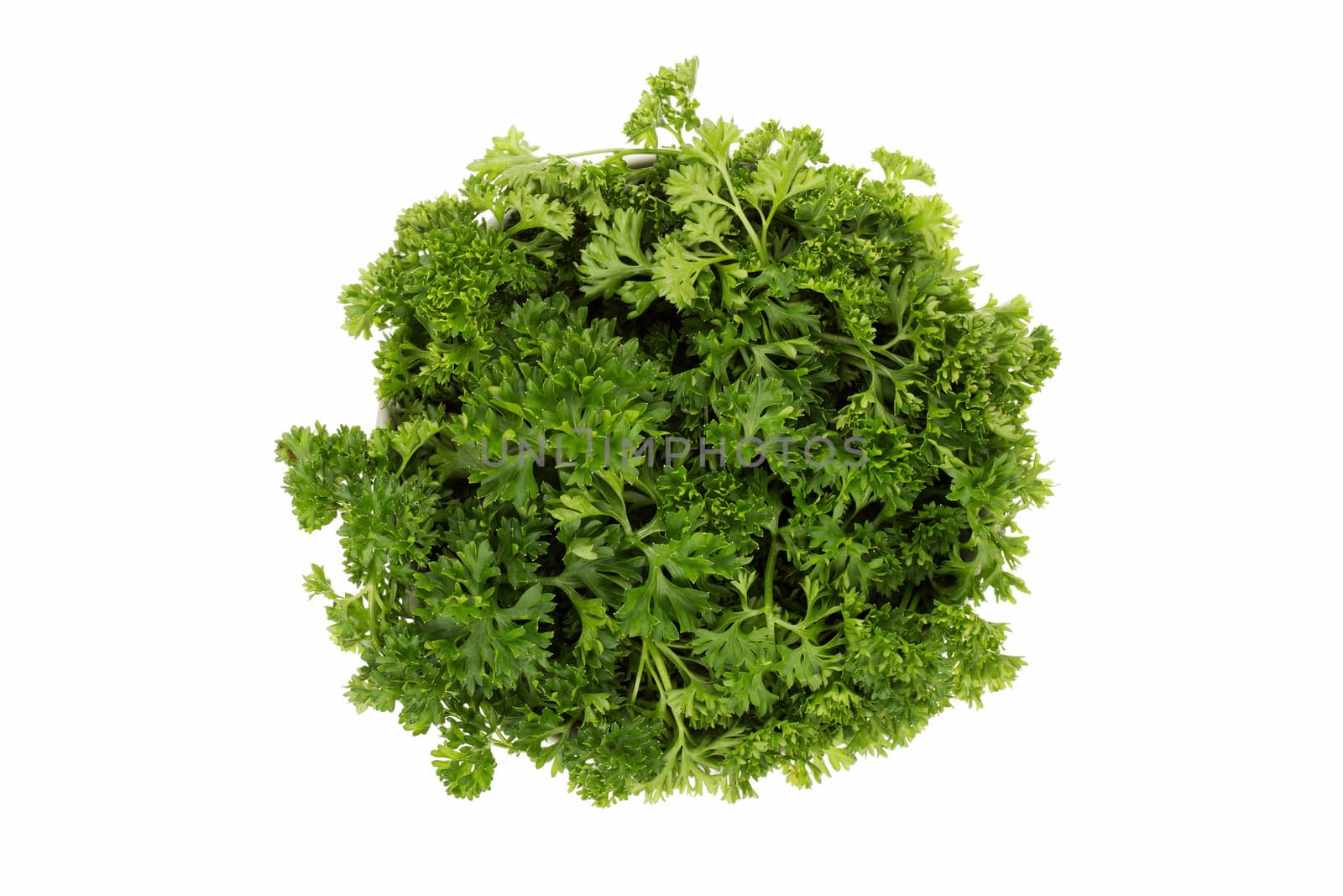 Fresh parsley in bowl isolated on white background.
