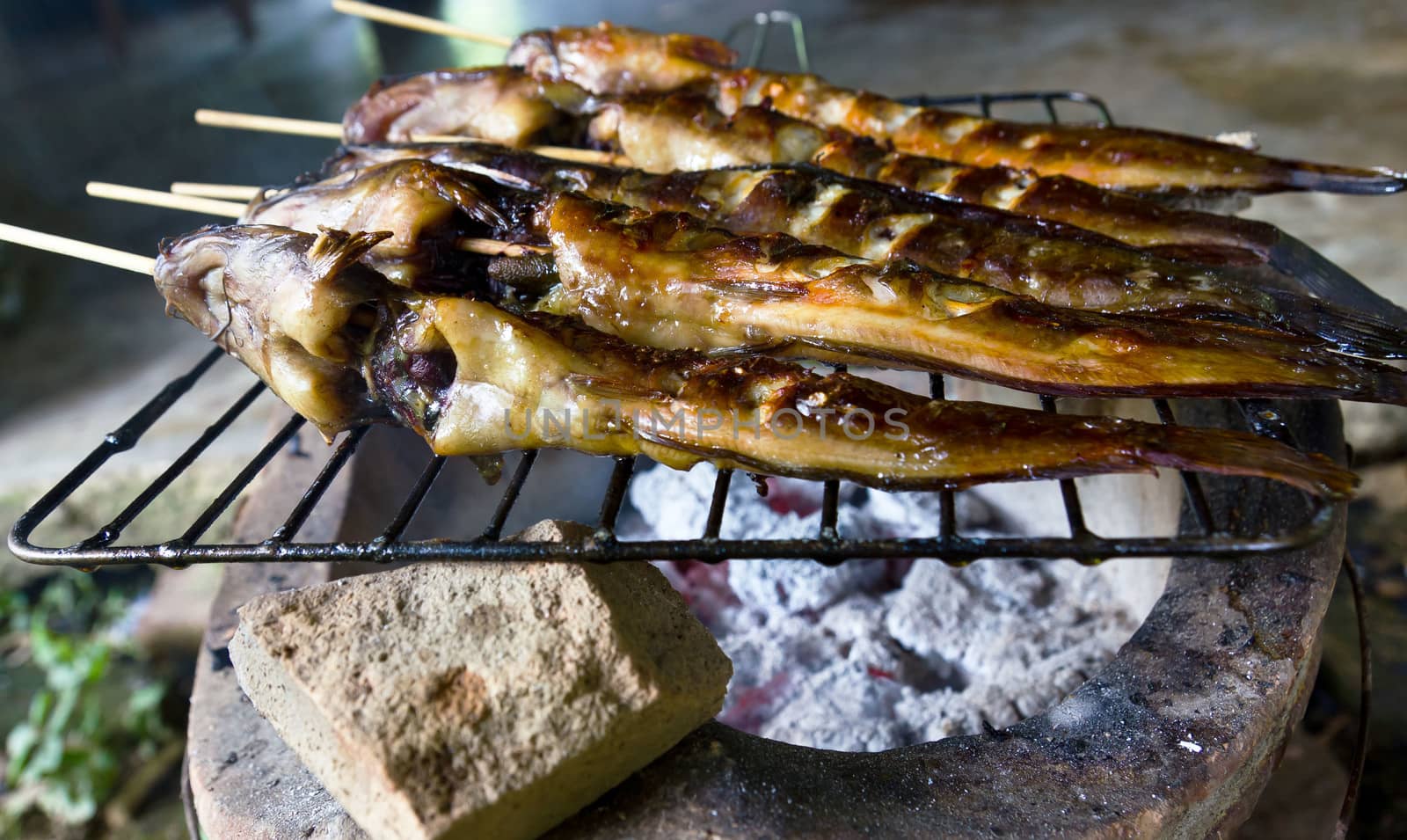 Grilling Catfish by sutipp11