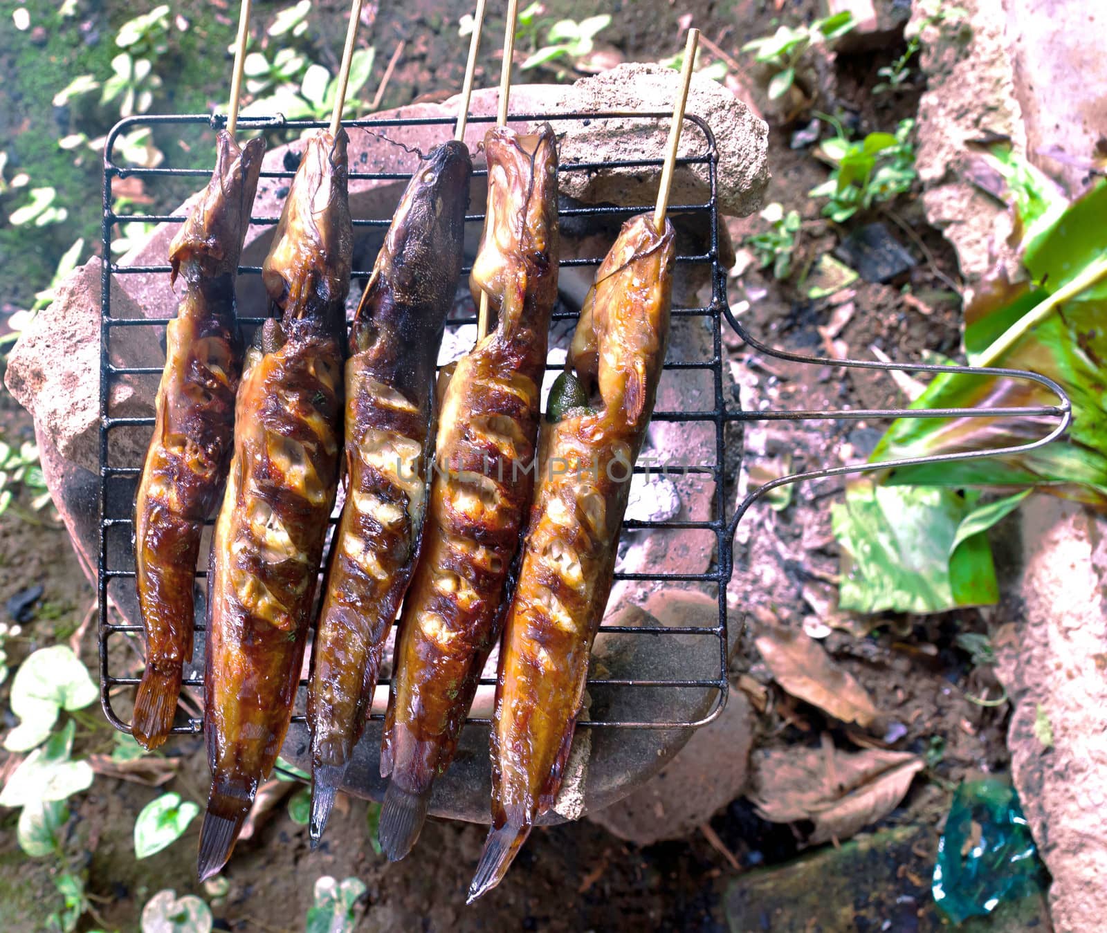 Grilling Catfish by sutipp11