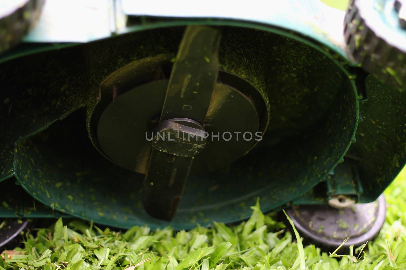 Blade Mower Running in the grass