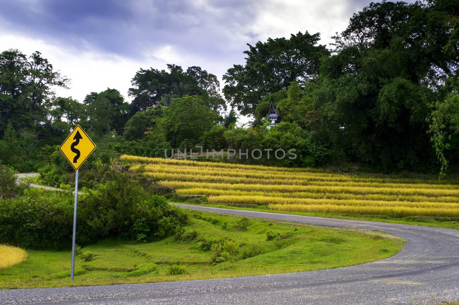 Tortuous Way to...
Samosir Island, Lake Toba, North Sumatra, Indonesia.