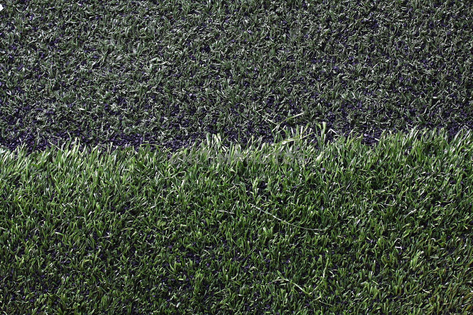 Grass football field with gravel.