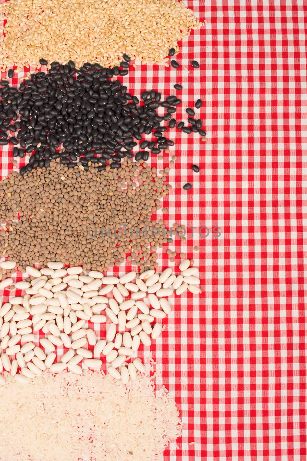 Legume set on a checkered red and white tablecloth