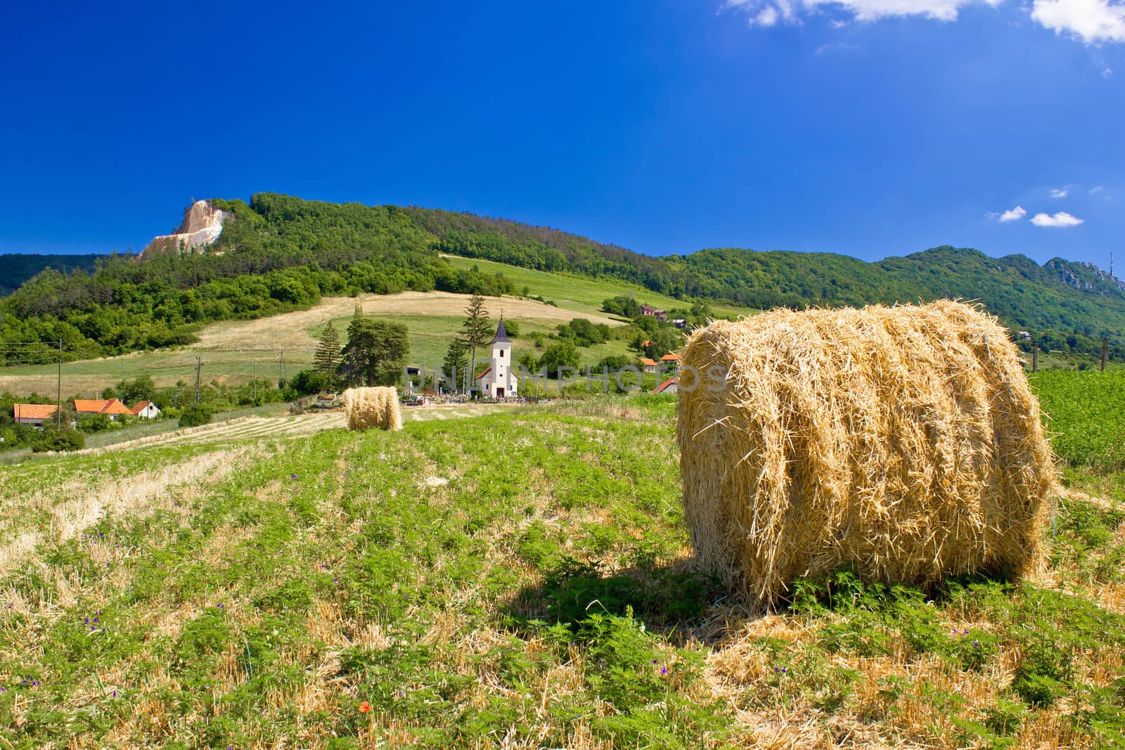 Green landscape, field and church by xbrchx