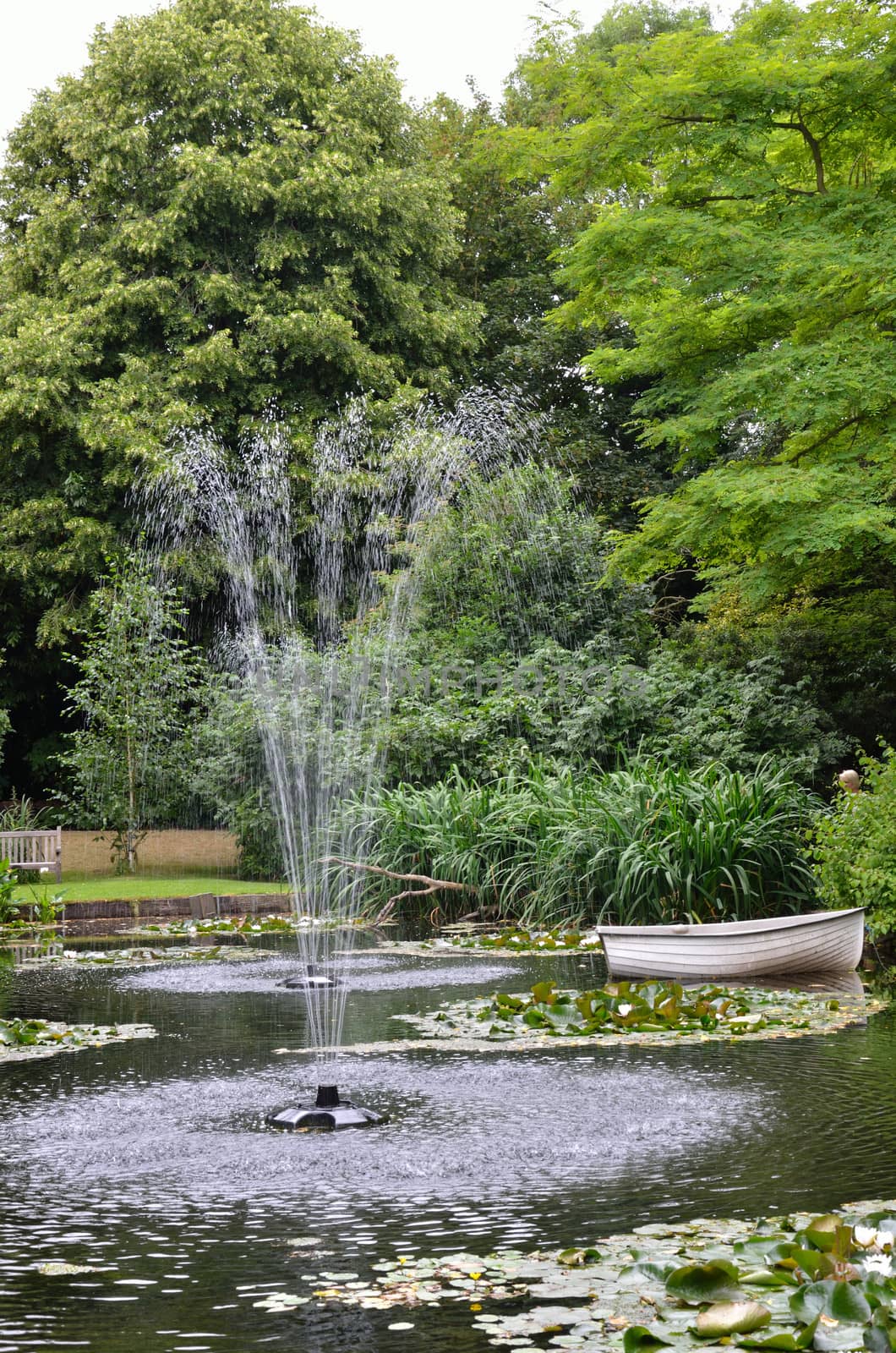 Fountain in garden  Pond