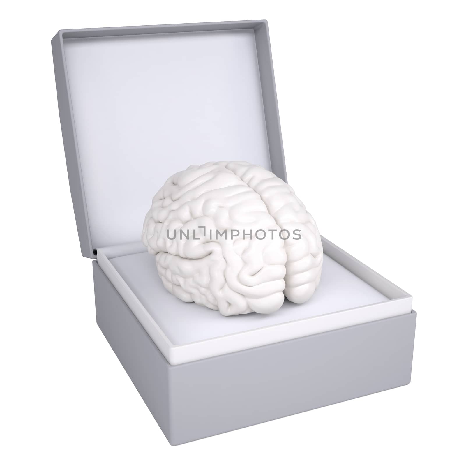 Brain in open gift box. 3d render isolated on white background