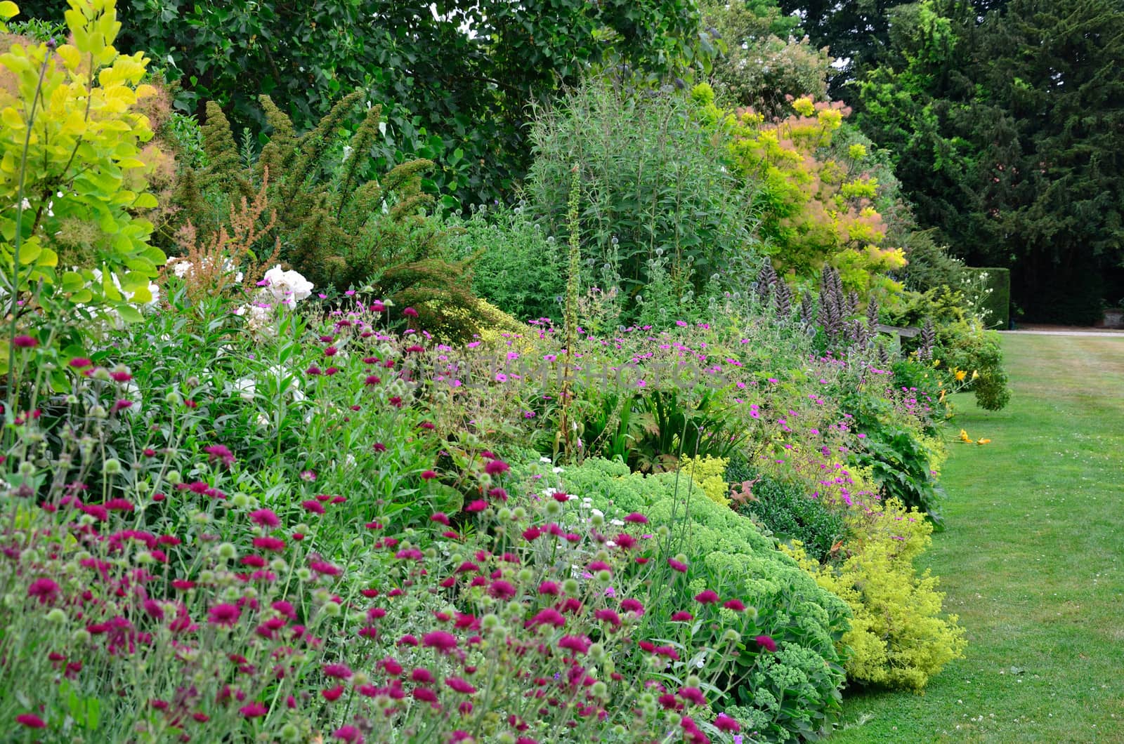 Verdant English Garden Border